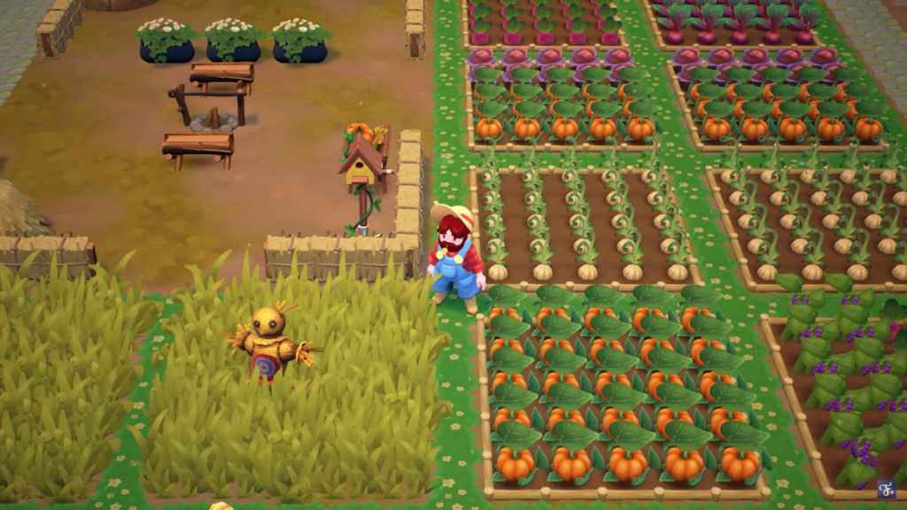 Imagen destacada de Cómo cocinar pescado al vapor en Fae Farm