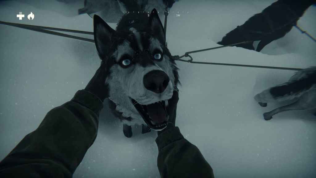 Kona 2: perro de revisión de Brume
