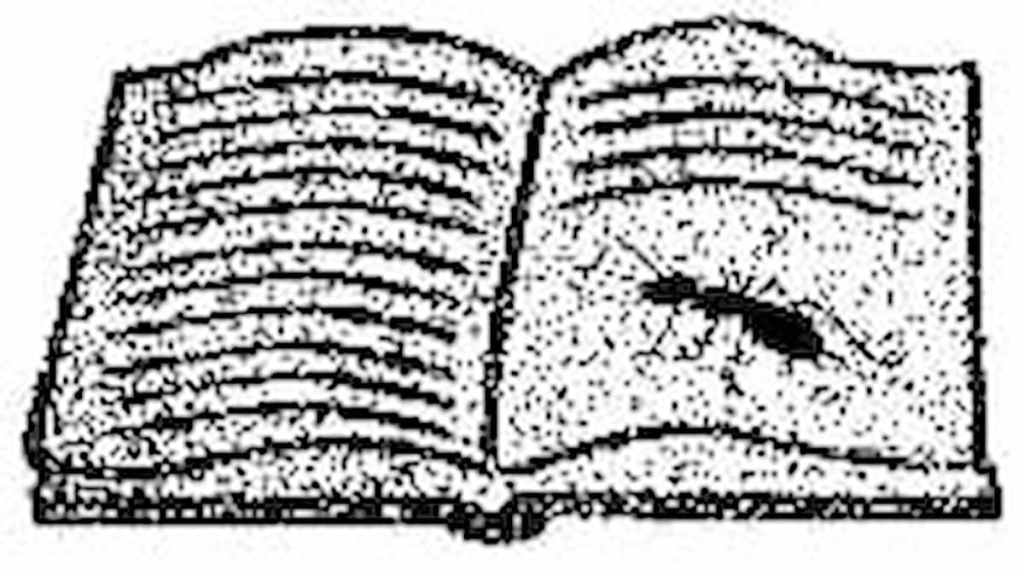 Un libro sobre hormigas Mod World of Horror