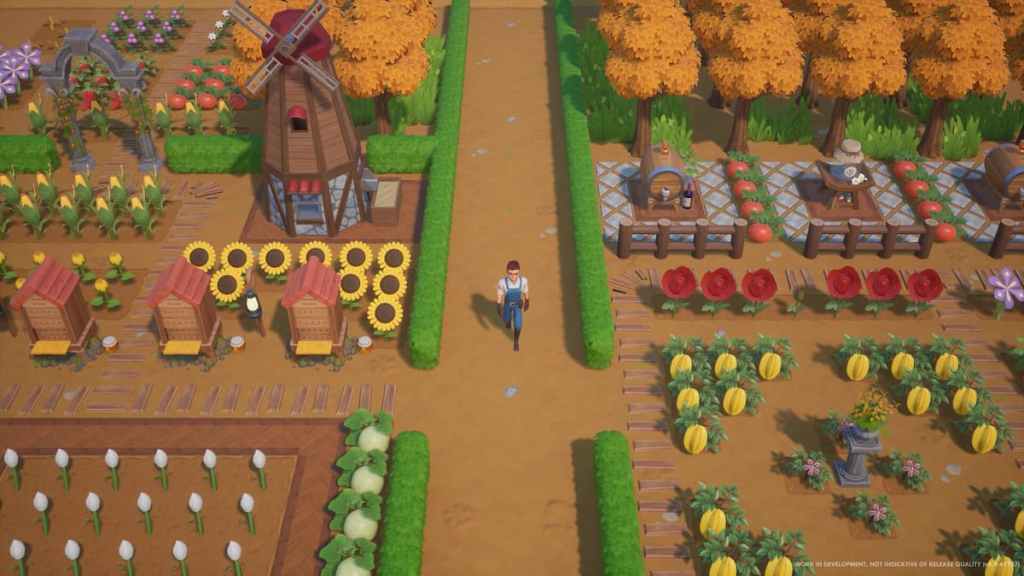 Una granja típica de Coral Island con un carácter en el medio.