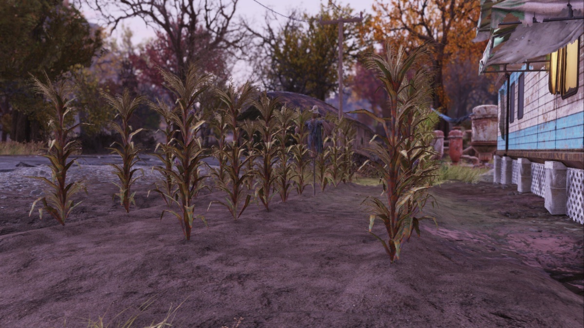 Baldosas de granja de Fallout 76