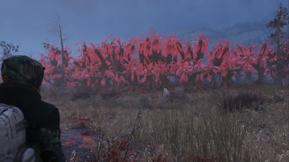 Fallout 76 Pantano de arándanos
